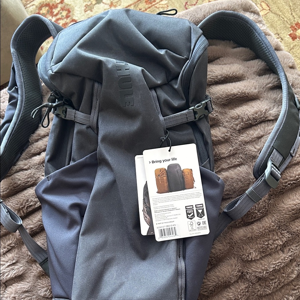Thule Charcoal Men's Backpack